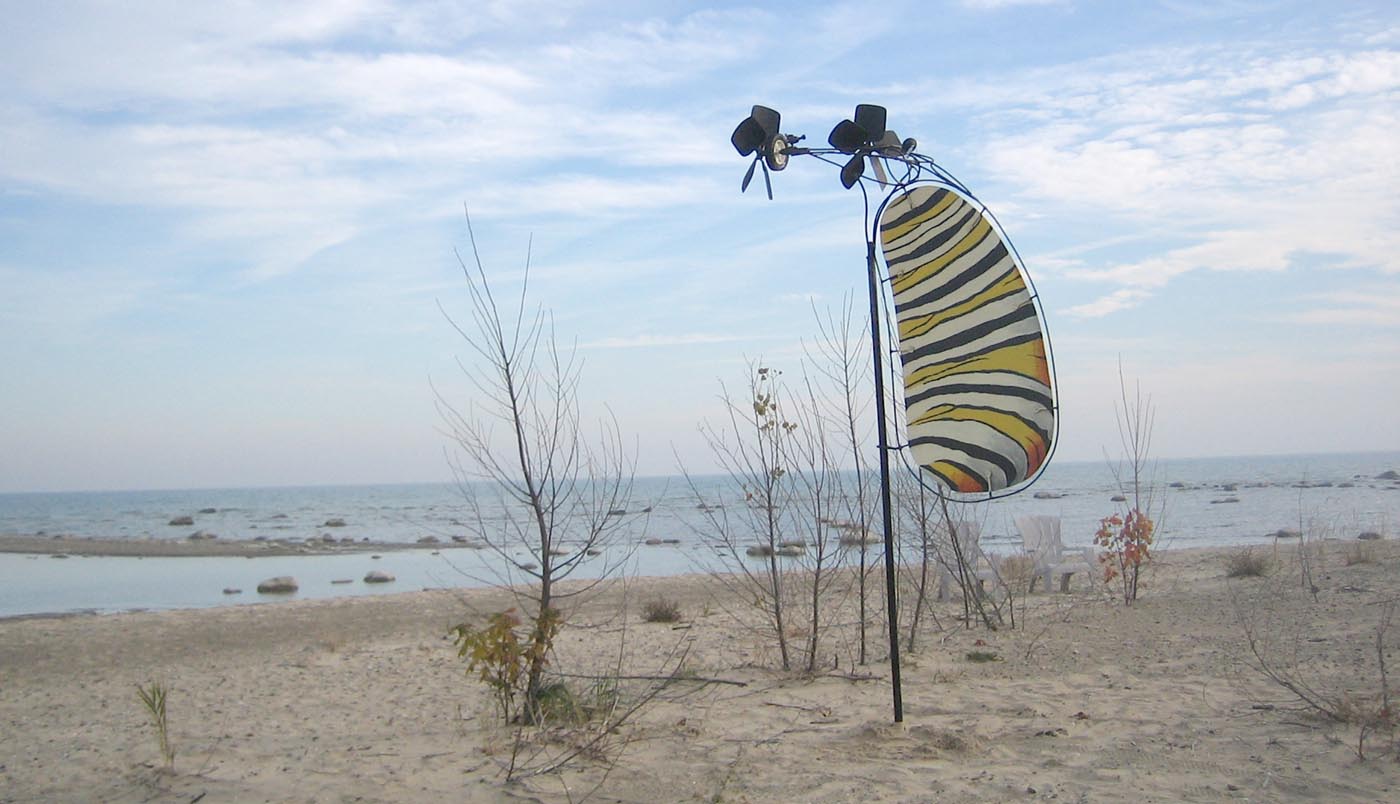 Monarch (caterpillar side)